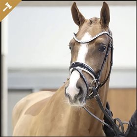 HESSELHOEJ.DK AUKTION