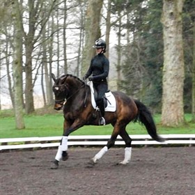 ØSTERGAARD'S LE MIEUX