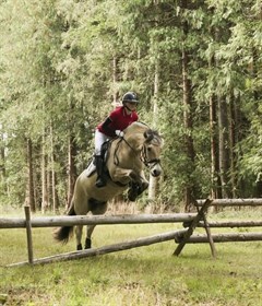 CONELIUS AF SEJERSHÅB