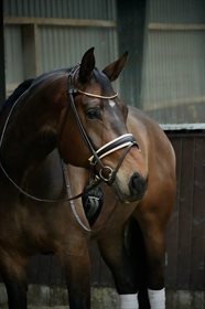 ASTI BYAGER