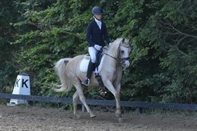 MOSEDALENS AMAZING GOLD