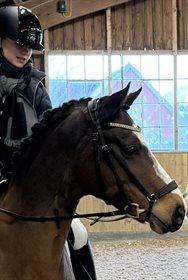 SS LITTLE HEARTBREAKER