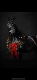 KØLLEHØJS ADELFÜRSTIN