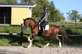 ROMEO'S PRIMA PRINCESS