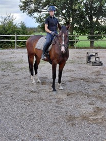 GODTHAABS PRINCETON-L