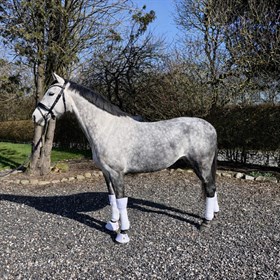 GRØNHØJ'S ROCKADALE