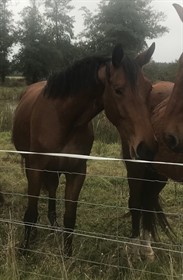 JE T’AIME EE