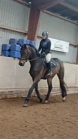 LANGESKOVS VINCENT