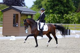 DIAMOND OF THE KING WE