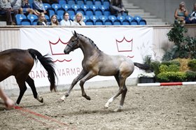 GRØTTRUPLUNDS BONJUPÉ