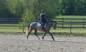 WI EMMELIE