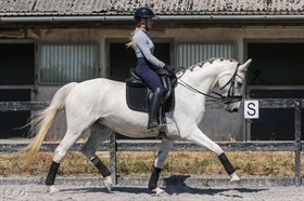 SILVER'S TOUCH OF CLASS