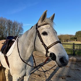 BIRKEGÅRDENS CARISMA