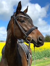 ATTERUPGAARDS MINERVA