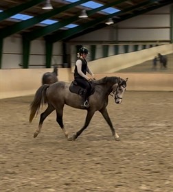 QONRAD DE MERIGNAT (SWB)