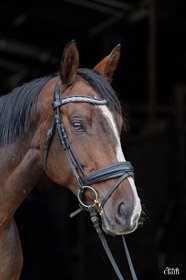 LILLEGÅRDENS FIRST KISS