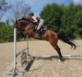 FARRELLS FIT FOR FIGHT