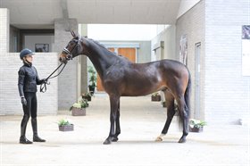 HESSELHOEJ.DK AUCTION