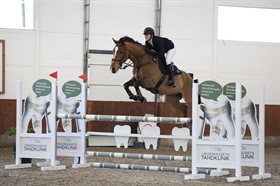 QASIM VAN DE DOMPELHOEVE