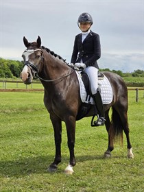 NOERSKOVS MISS ANASTASIA (GBR)