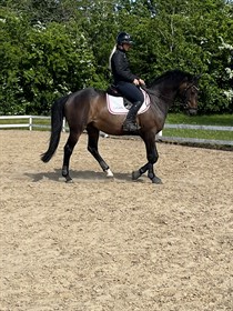 VALENTINO