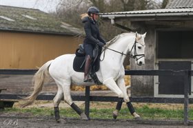 SILVER'S TOUCH OF CLASS