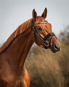 KATRINELUND DONT HURRY