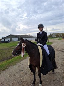 HORSEMOSENS SOYA