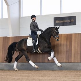 HESSELHOEJ.DK AUKTION