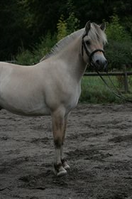 MOSEGÅRDENS VESTER