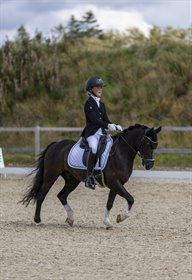 CHOPINS MOZZART (DNK)