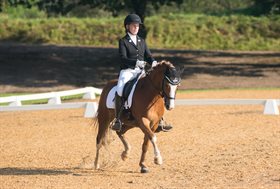 CLAUSHOLM VOUCHER (DNK)