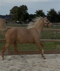 LANGAGERGÅRDS ARTWALK