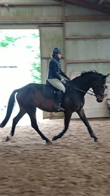 LANGESKOVS VINCENT