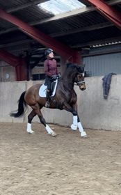 BØGEGÅRDENS ADRIANA