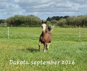 DAKOTA APPLE AF KÆRHUSET