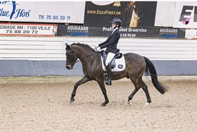 MELDGAARDENS SIR DUNCAN