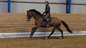 DONNA ROMANTICA OVERSKOVLUND