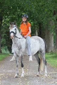 BOMGAARDENS RIGHT NOW