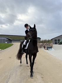 STRANDAGERGÅRDS SINAI