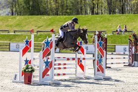 STALL-HOPP BRENIN CAMEO