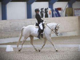 DREYERS GOLDEN TOUCH