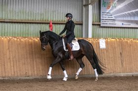 STALD MØLLEBYS RIHANNA