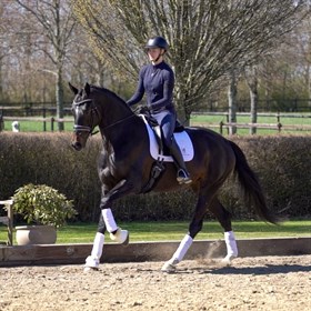 Gammel mølle’s Janaia