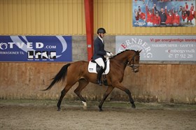 MOSELYS HJERTENSFRYD