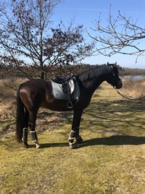 BORBJERGS FALSTAFFS ROZÉ