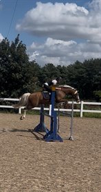 RÅLANDGÅRDS HADDOCK