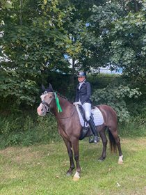 NOERSKOVS MISS ANASTASIA (GBR)