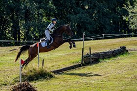 IBI FORTUNE COOKIE (62) SWB