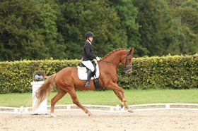 STRANDAGERGÅRDS FIFA